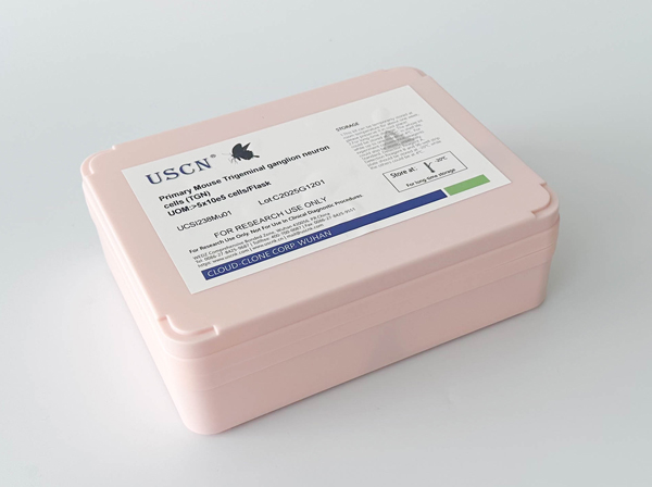 瘦素(LEP)基因敲除小鼠